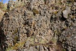 Vrch Vinice - bezolivinický bazalt (čedič) - kuličkový rozpad horniny, žhavé magma se mísilo se zvodněnými písčitými sedimenty