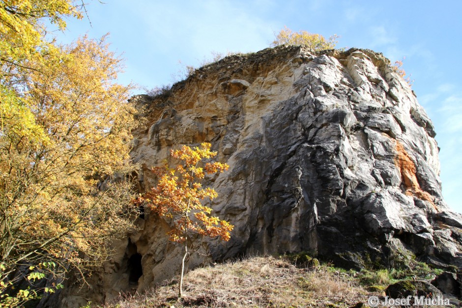 Lom Kobyla - nasunutí dvou typů vápenců, starší vápence jsou nasunuty na mladší hornin