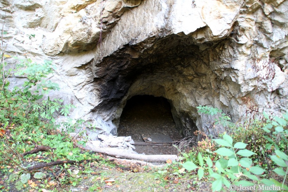 Lom Kobyla - Chlupáčova jeskyně - nálezy pravěkých zvířat