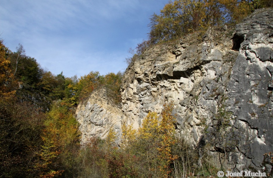 Lom Kobyla - nasunutí dvou typů vápenců - starší vápence jsou nasunuty na mladší horniny