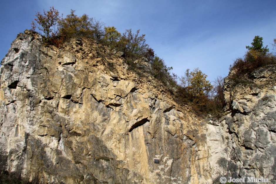 Lom Kobyla - nasunutí dvou typů vápenců - starší vápence jsou nasunuty na mladší horniny
