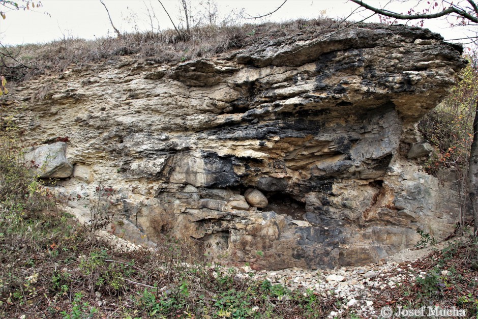 Kaňk u Kutné Hory - migmatity kutnohorského krystalinika s vápenci sedimentovaly na plážích ostrova Kaňk