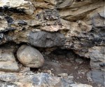 Kaňk u Kutné Hory - migmatity kutnohorského krystalinika s vápenci sedimentovaly na plážích ostrova Kaňk - detail