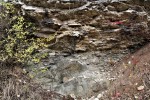 Kaňk u Kutné Hory - na migmatity kutnohorského krystalinika nasedají bioklastické vápence staré cca 90 mil.let
