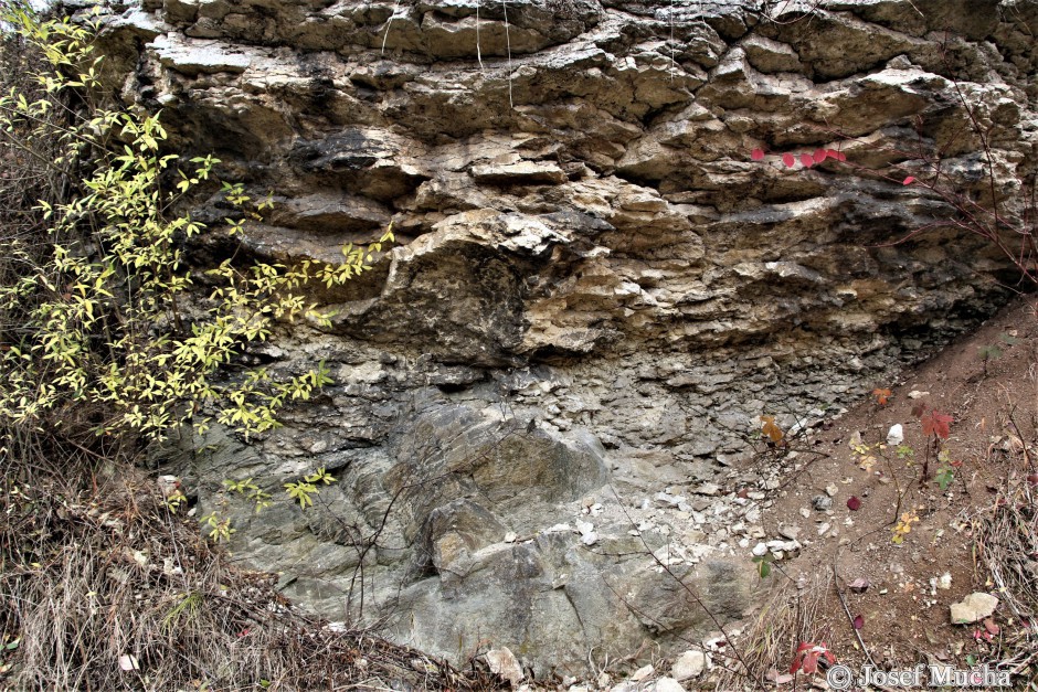 Kaňk u Kutné Hory - na migmatity kutnohorského krystalinika nasedají bioklastické vápence staré cca 90 mil.let