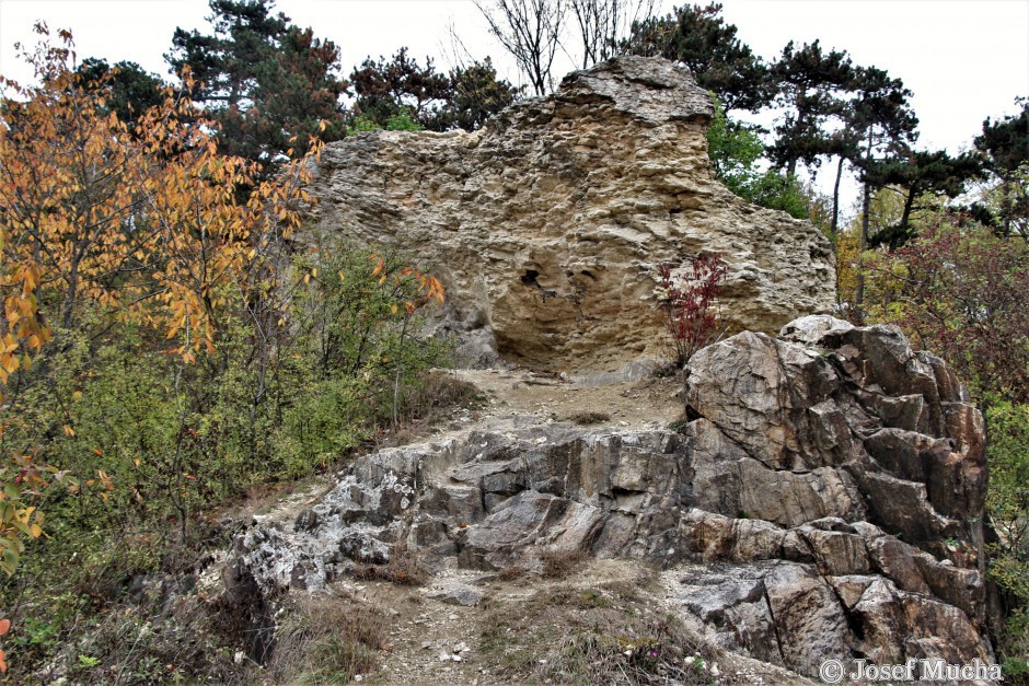 Kaňk u Kutné Hory - bioklastické vápence nasedají na migmatity (nejvyšší stupeň metamorfózy - překrystalizace) z konce starohor (neoproterozoikum)