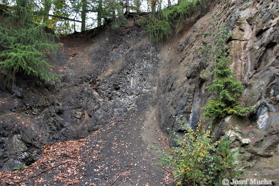 Malé Svatoňovice - bunkr - sedimenty svrchní křídy, spodní turon a cenoman - bělohorské a perucko - korycanské souvrství - jílovité pískovce a vápnité prachovce