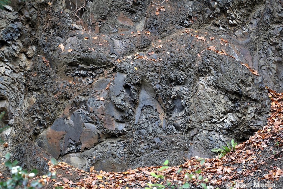 Malé Svatoňovice - bunkr - sedimenty svrchní křídy, spodní turon a cenoman - bělohorské a perucko - korycanské souvrství - jílovité pískovce a vápnité prachovce - detail