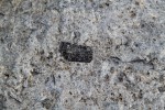 Hradišťský vrch - krystal amfibolu (4cm) v bazanitu