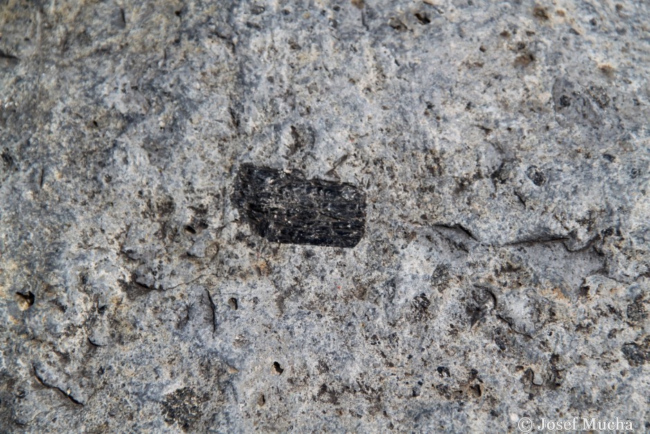 Hradišťský vrch - krystal amfibolu (4cm) v bazanitu