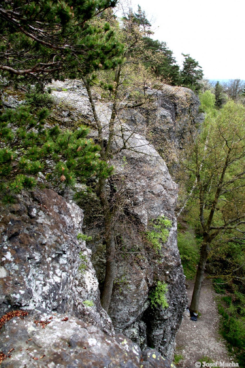 Kozelka u Manětína - skalní hrana stolové hory