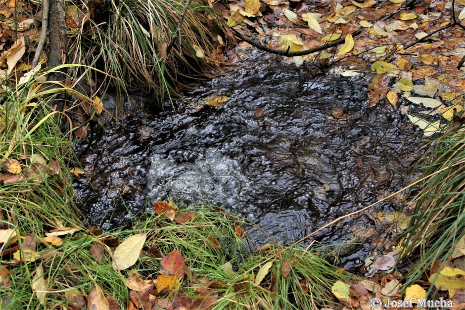 Hartoušovské mofety - únik Bublák, masivní únik CO2 probublává vodu, ročně zde unikne až 307 000 m3 plynu