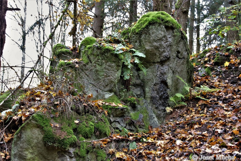 Podhorní vrch a maar Rájov - bazaltové skalky v linii kráterů mezi Malou a Velkou Podhorou 