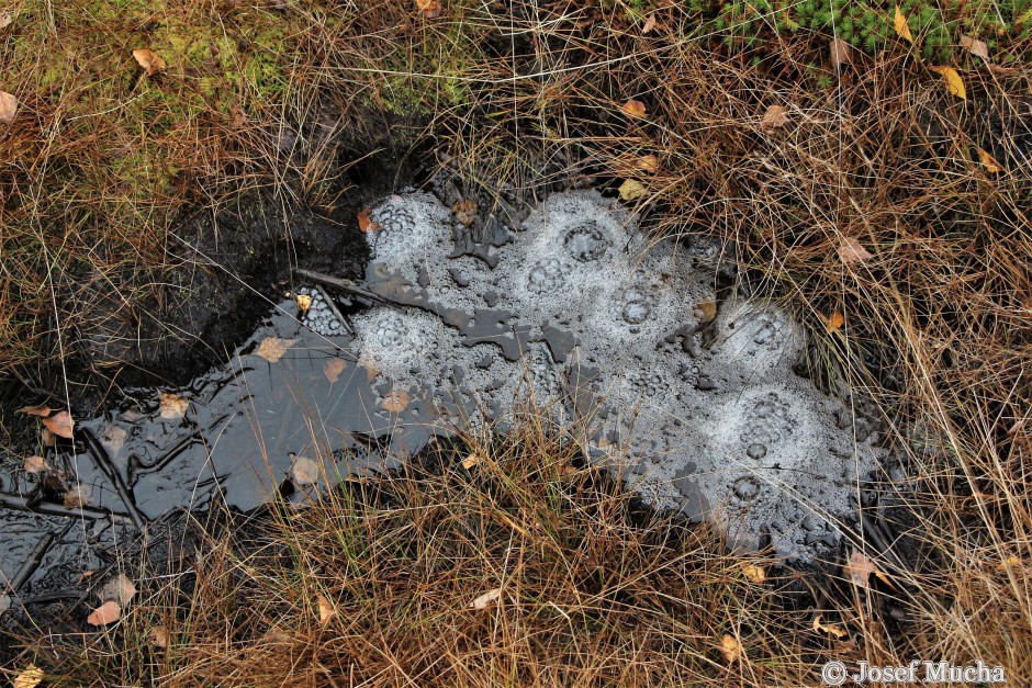 Sirňák - výron sirných plynů a CO2 - plyny probublávají vodou, v okolí se šíří sirný pach po zkažených vejcích