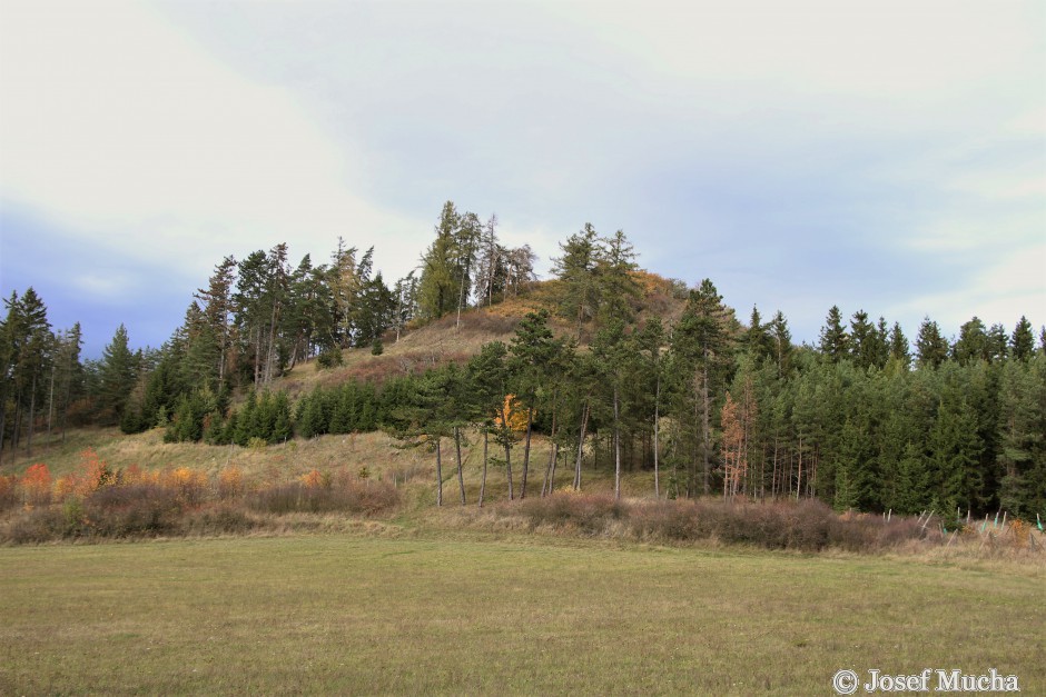 Zbraslavský vrch - přívodní kužel třetihorního vulkánu - nad okolním terénem se tyčí o cca 85 m