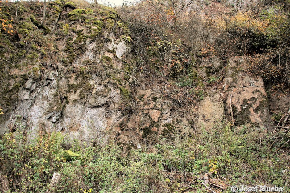 Zbraslavský vrch - malý lom pod vrcholem s náznakem sloupcovité odlučnosti trachyandezitu