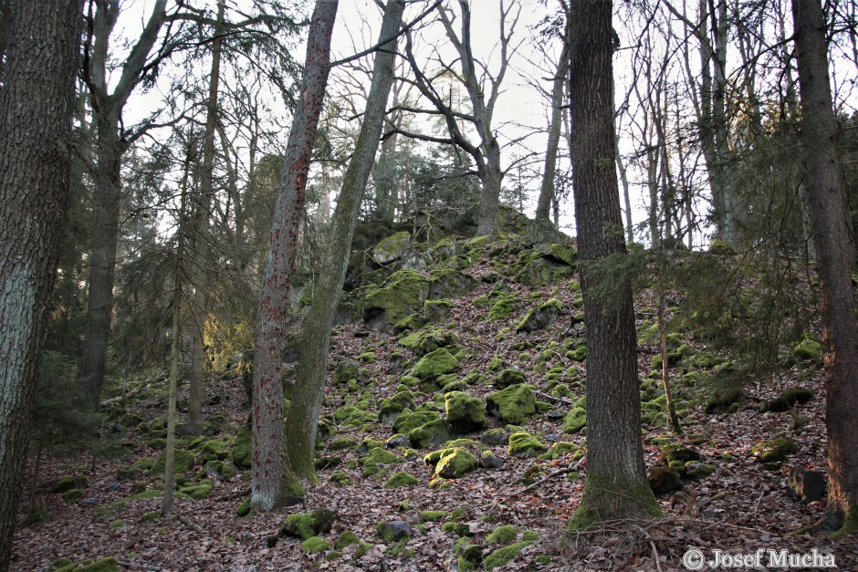 Čertovo břemeno - skalní hřbet ze silicitu - je tvořen převážně oxidem křemíku