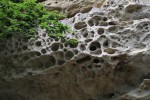 Pravčická brána -  voštiny - chemické zvětrávání, voda vsakující se do pískovce rozpouští minerály, které na povrchu při odpařování vody krystalizují mezi zrnky pískovce, které rozvolňují a vznikají charakteristické "plástve" - 