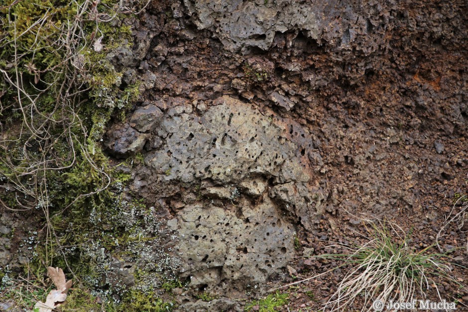 Vinařická hora - čedič s otvory po bublinkách plynu z období strombolských erupcí 