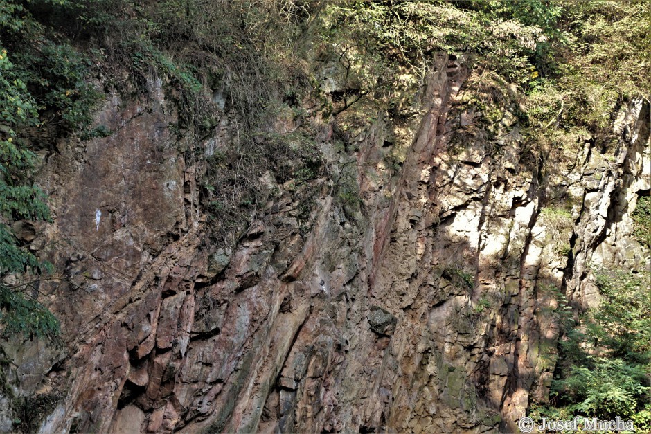 Lom Brloh - Lom u dvou moří - ordovická křemencová skála, levá stěna lomu, ukloněná tektonickými pohyby