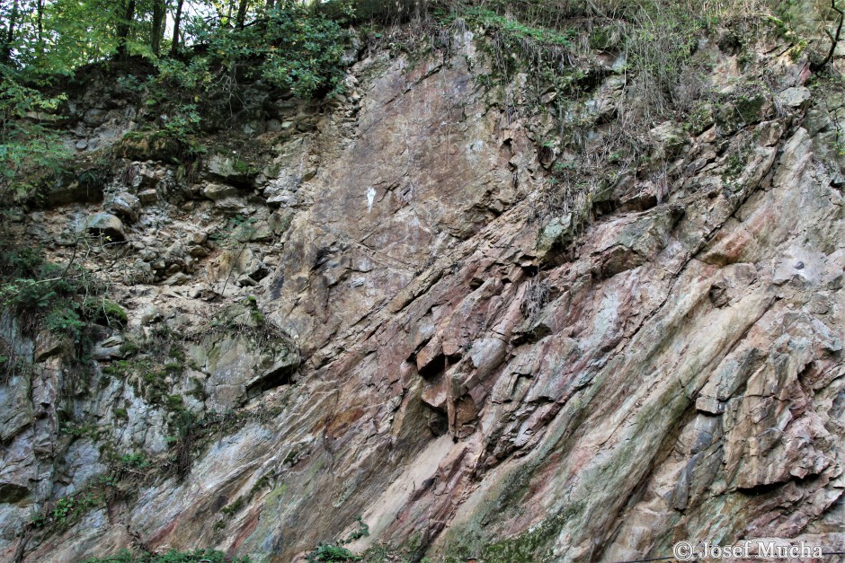 Lom Brloh - Lom u dvou moří - ordovická křemencová skála, pravá stěna lomu, ukloněná tektonickými pohyby, vlevo nahoře sedimenty křídového moře