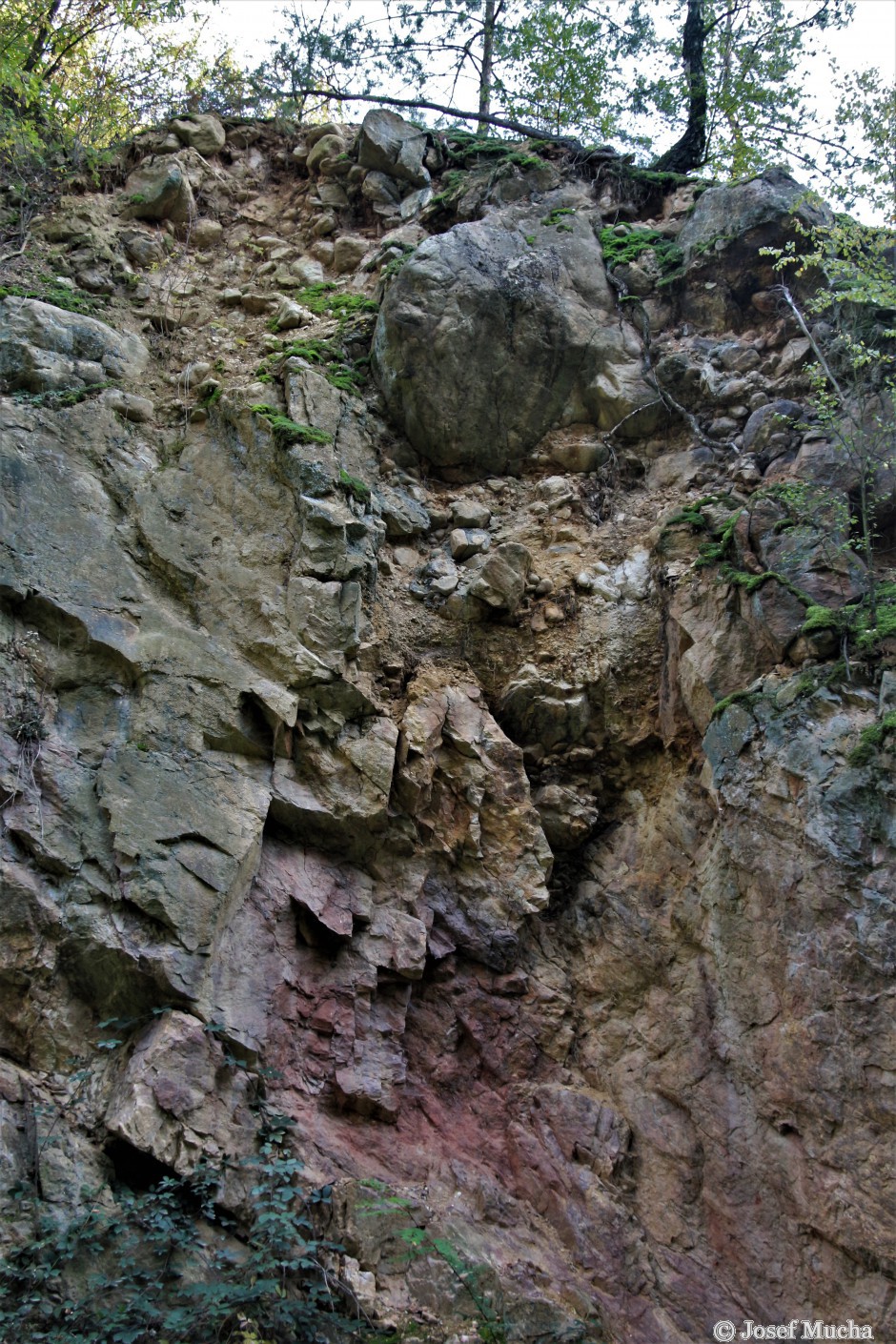 Lom Brloh - Lom u dvou moří - pravá stěna lomu, opracované valouny sedimentů křídového moře - detail