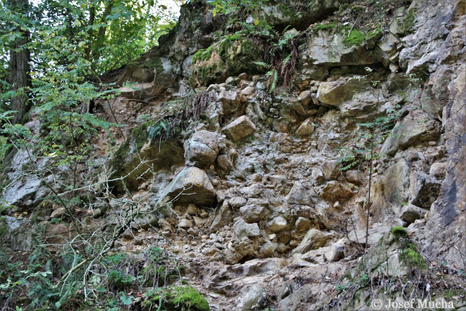 Lom Brloh - Lom u dvou moří - pravá stěna lomu, opracované valouny sedimentů křídového moře - detail