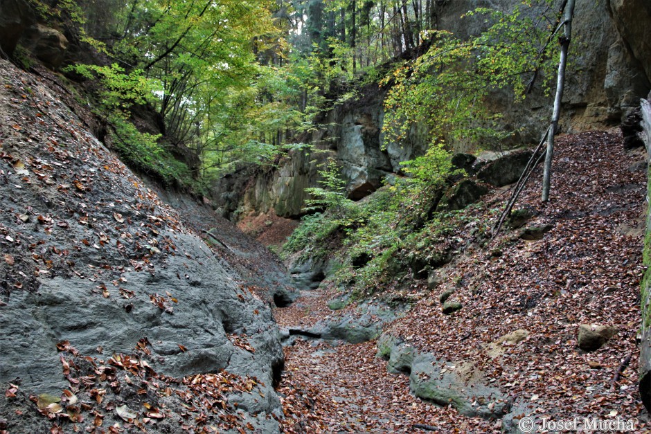 Pivnická rokle - příchod do kaňonu