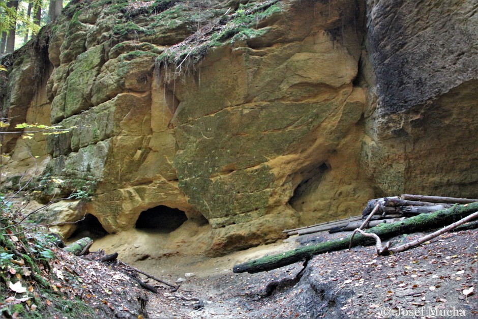 Pivnická rokle - úzký kaňon v druhohorních pískovcích a slínovcích - vyhloubené jeskyňky a tunely