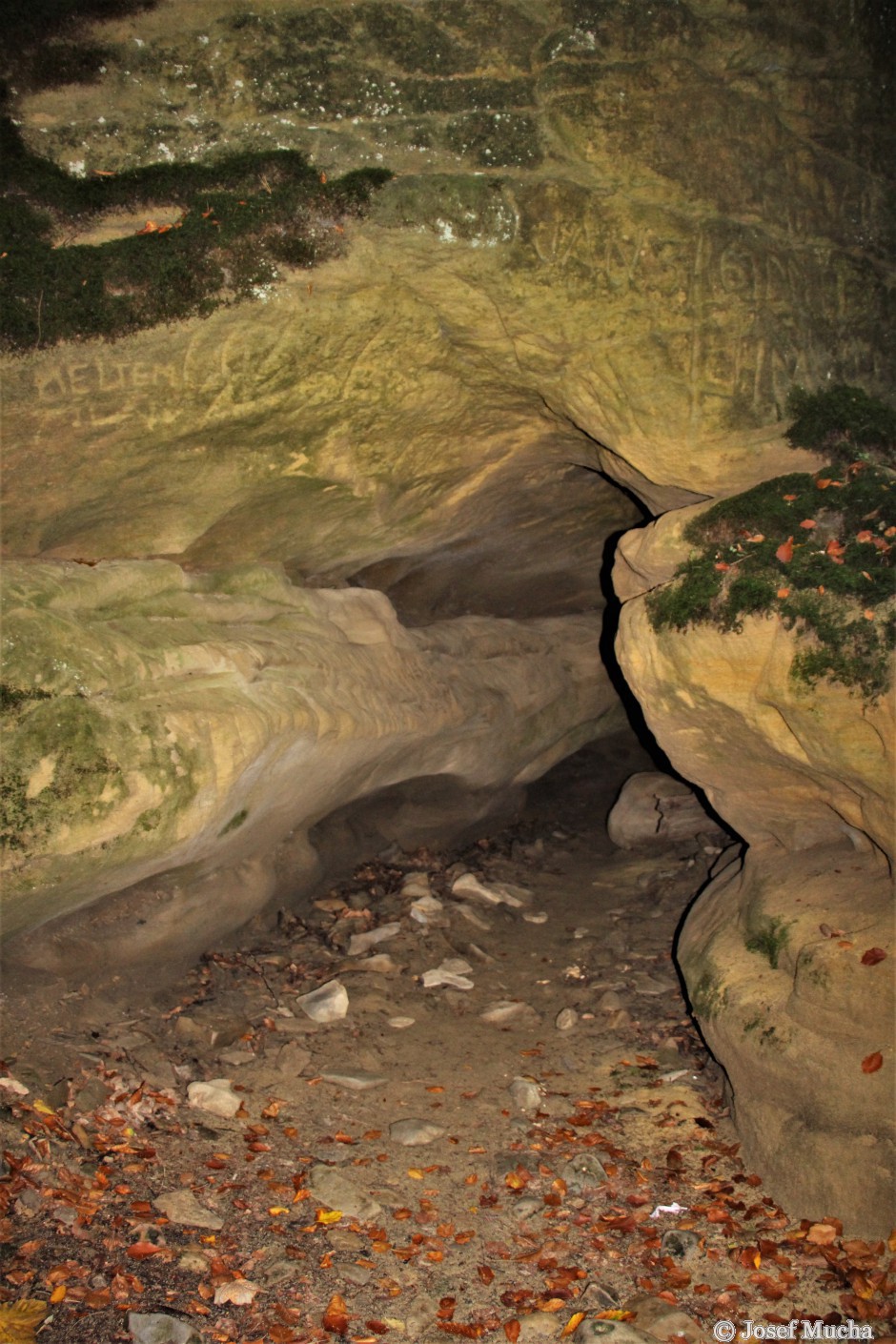 Pivnická rokle - ve stěnách a dně kaňonu jsou jeskyňky a tunely erodované vodou
