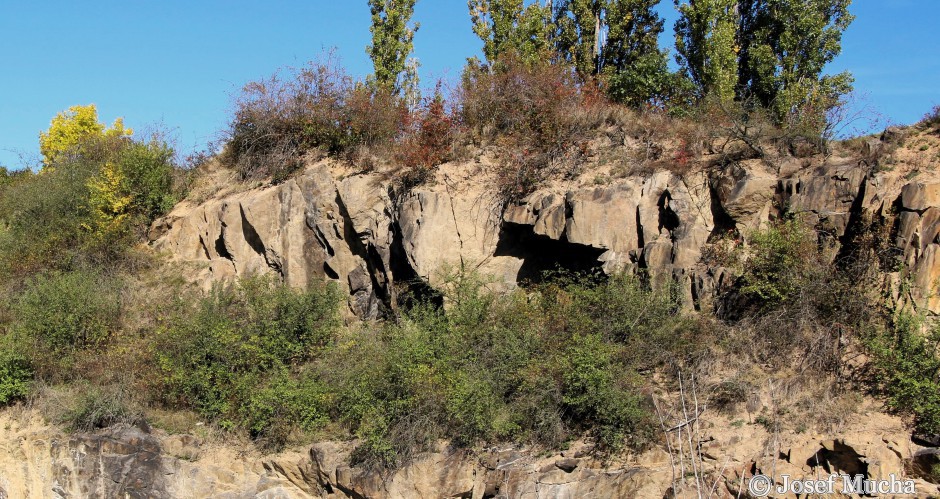 Skalka u Velimi - pohled na hlavní stěnu lomu (pararuly a migmatity) - detail