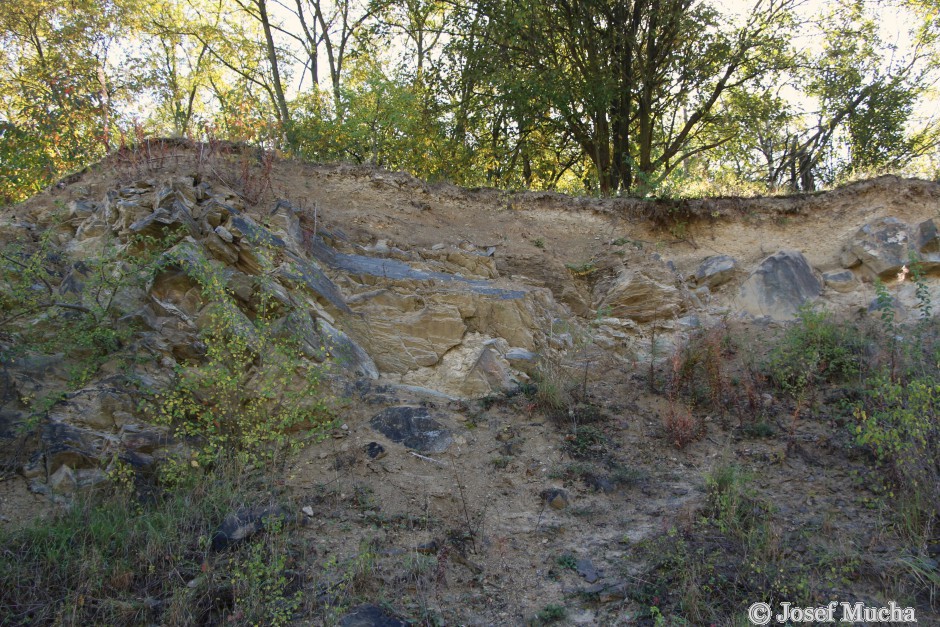 Skalka u Velimi - uloženiny světlých prachovitých slínovců s opracovanými balvany pararul