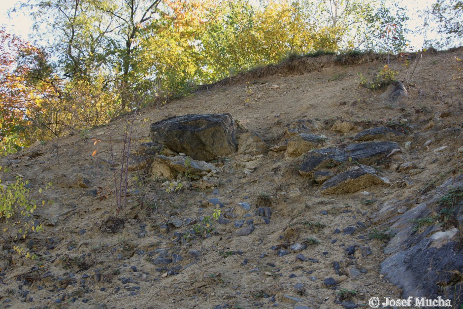 Skalka u Velimi - uloženiny světlých prachovitých slínovců (až 3.4 m) s četnými zbytky spongií (živočišných hub)