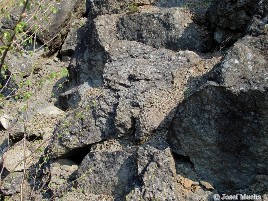 Otmíčská hora - granulovaný čedič