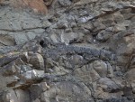 Otmíčská hora - lávové výlevy