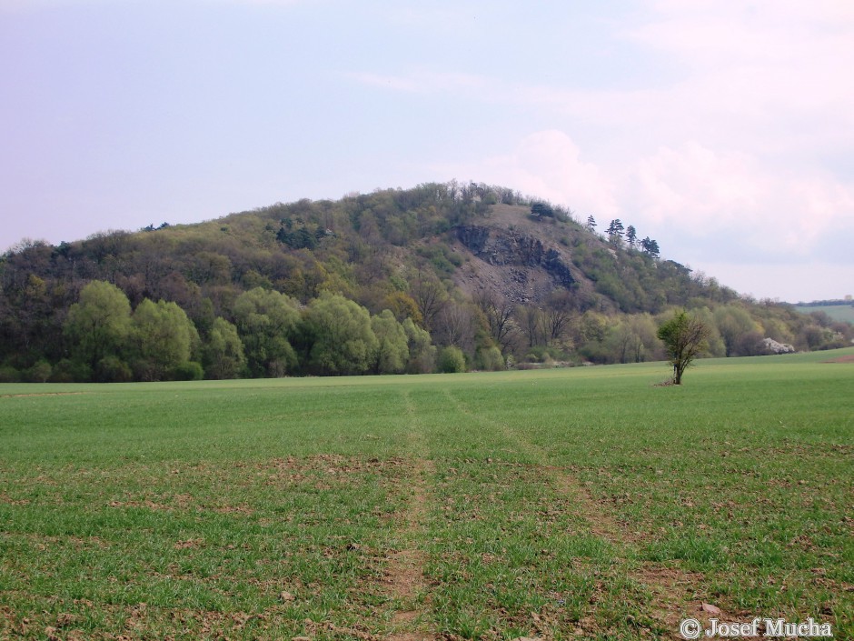 Otmíčská hora - celkový pohled