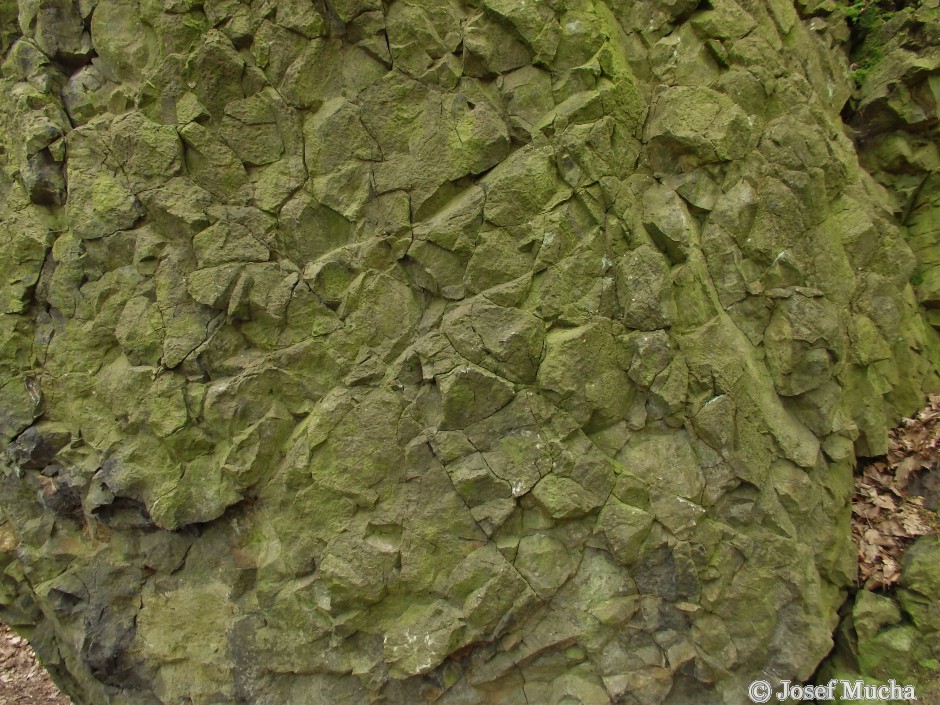 Hrádek Oltářík - skalní masív sodalitického tefritu - nepravidelná sloupcová odlučnost na úpatí kopce