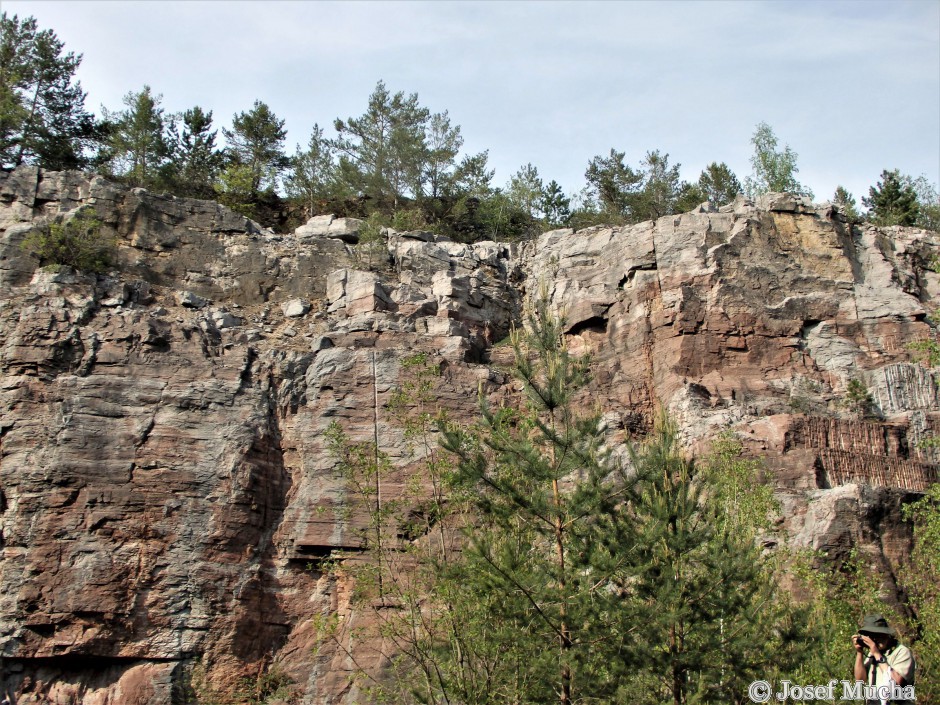 Červený lom u Koněprus - pohled na těžební stěnu - patrné červenohnědošedé zbarvení vápenců