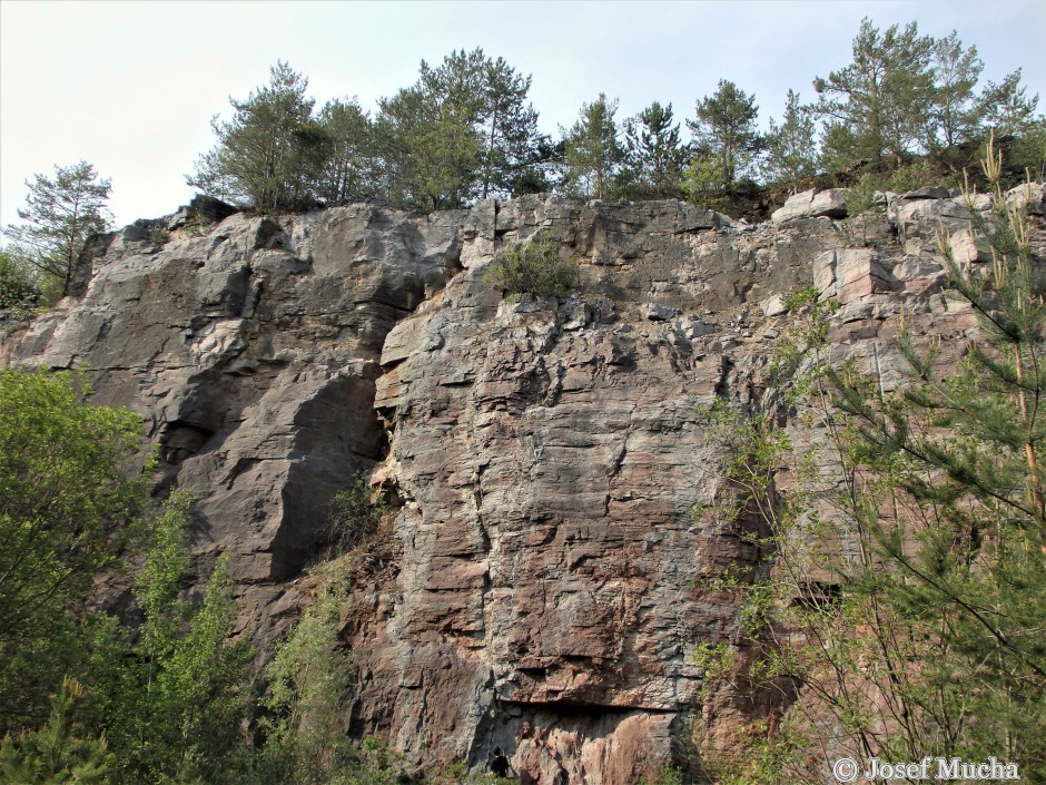 Červený lom u Koněprus - pohled na těžební stěnu