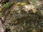 Vinařická hora - xenolit - vypálená opuka z křídových podložních hornin vulkánu