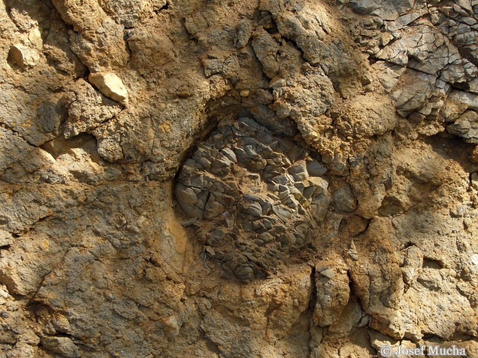 Vinařická hora -  xenolit - vypálená opuka z křídových podložních hornin vulkánu 