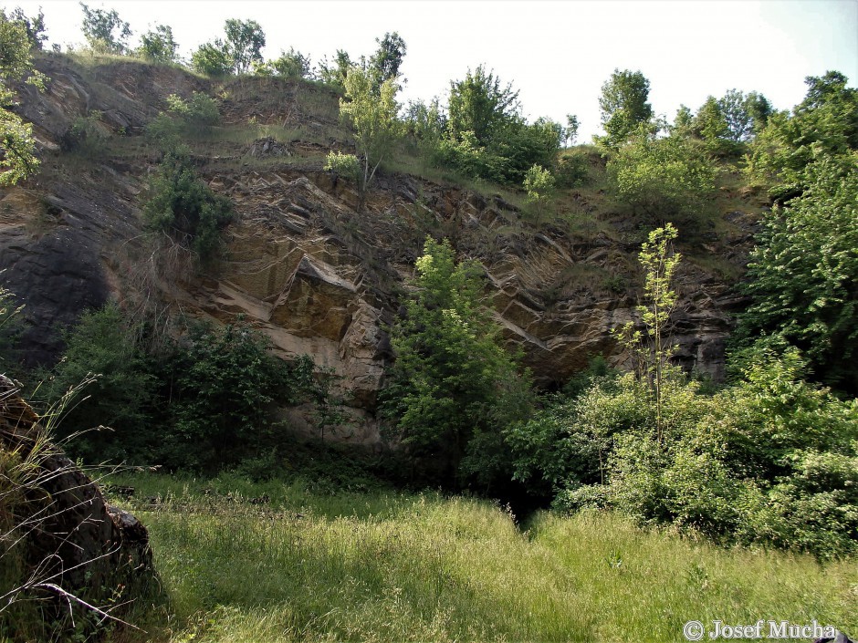 Lom Požáry - stratotyp - lom byl založen jako jámový, tzn., že vrstvy jsou značně ukloněny, někde až do kolmé polohy - to vše způsobilo variské vrásnění 