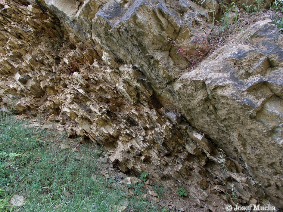 Lom Požáry - stratotyp - střídání vrstev vápenců - požárské souvrství