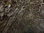 Lom Požáry - stratotyp - uvnitř tunelu ze stropu rostou brčka - krasový jev - rozpouštění vápenců