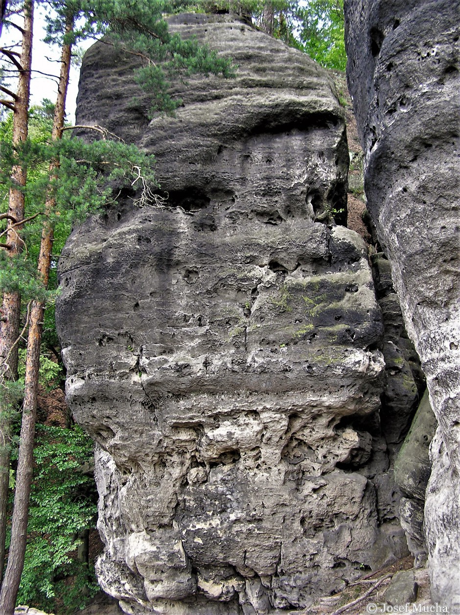 Malá Pravčická brána - skalní pískovcové věže v okolí brány 