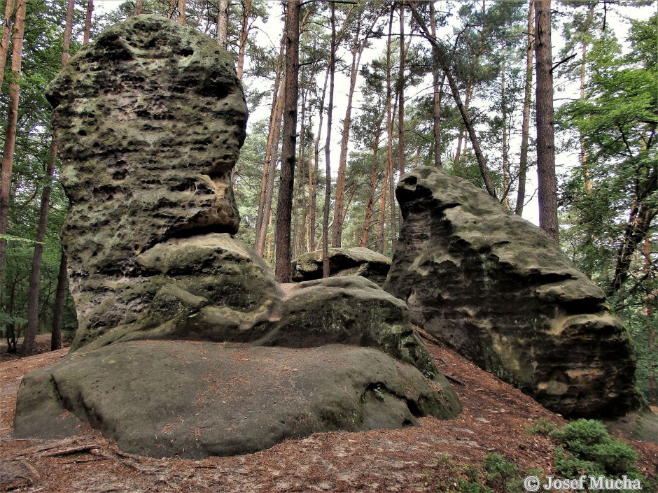 Kokořínské údolí - pískovcový útvar - Obří hlava a žába