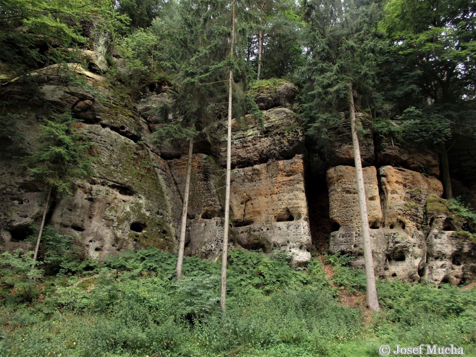 Kokořínské údolí - pískovcový útvar - selektivní zvětrávaní měkčích vrstev, přesýpací hodiny, skalní dutiny 