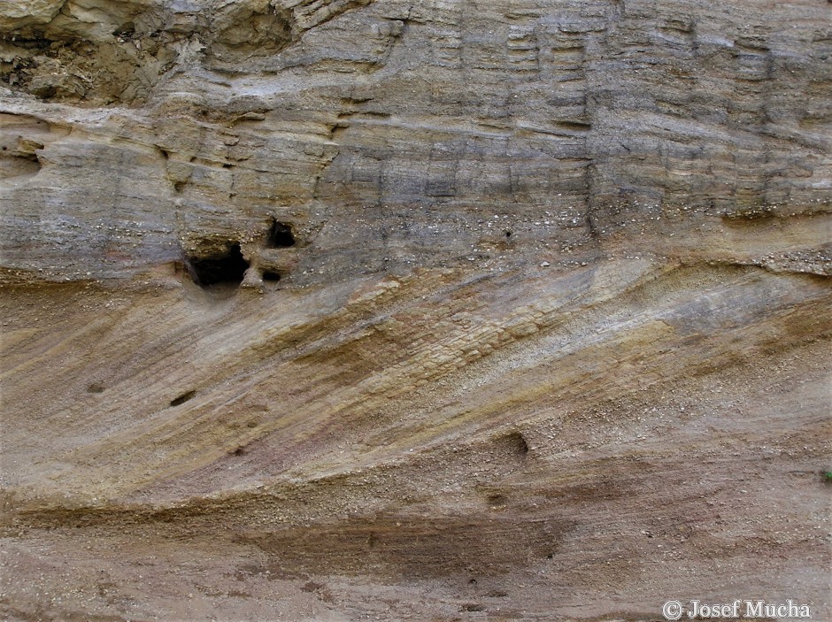 Sokolovská pánev - Starosedelské souvrství - detail šikmých vrstev - sedimentace v říční deltě do jezera