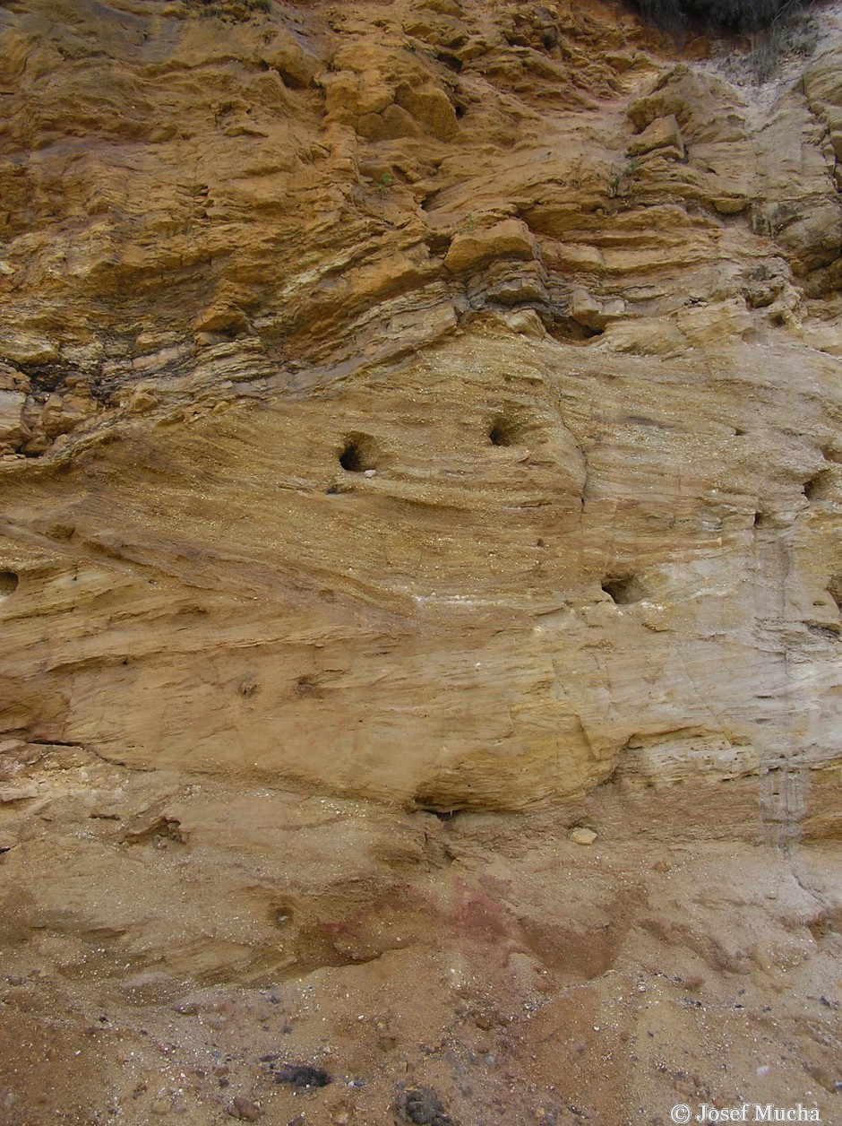 Sokolovská pánev - Starosedelské souvrství - šikmé zvrstvení, v horní části snímku sedimentace jemného materiálu