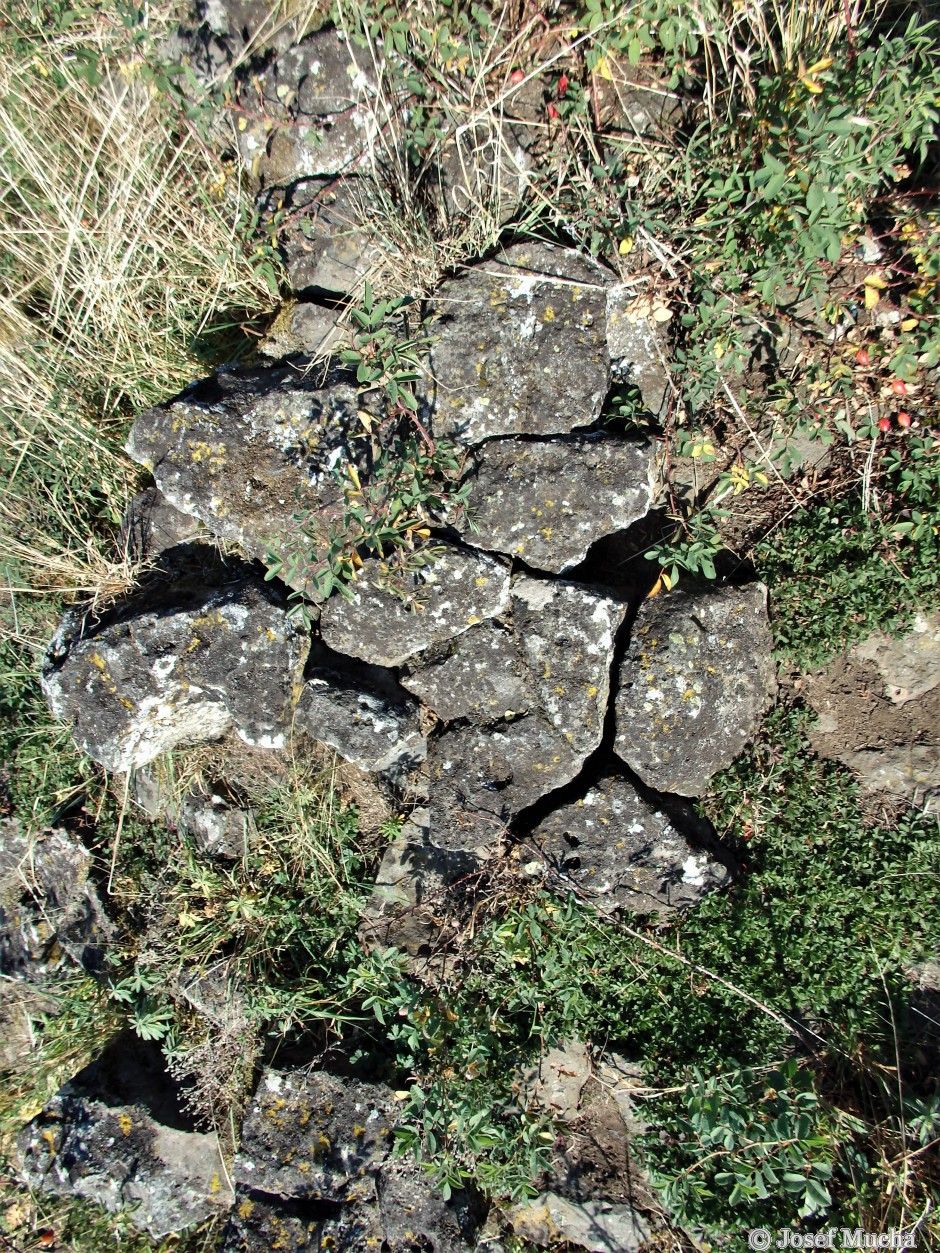 Homolka u Bečova nad Teplou - bazanit - sloupcovitá odlučnost na vrcholu v "řezu"
